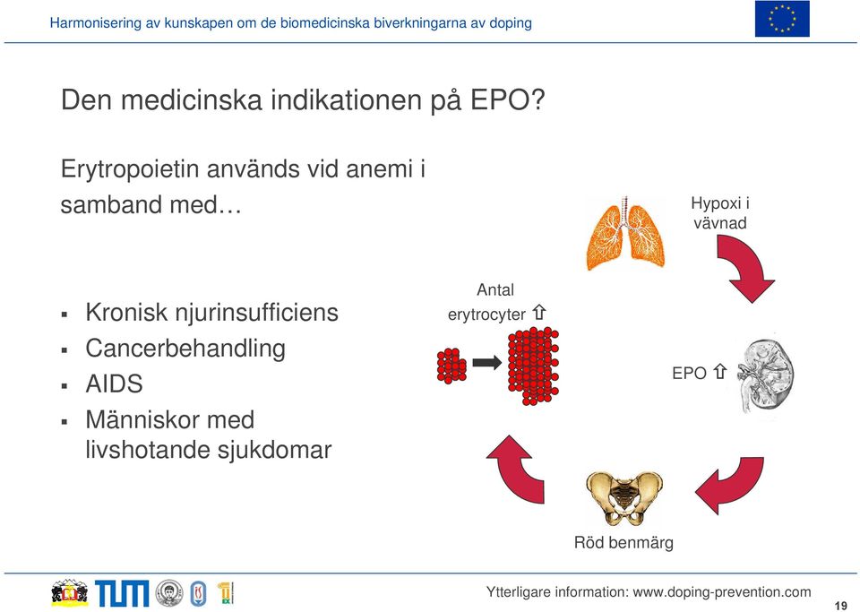 vävnad Kronisk njurinsufficiens Cancerbehandling AIDS