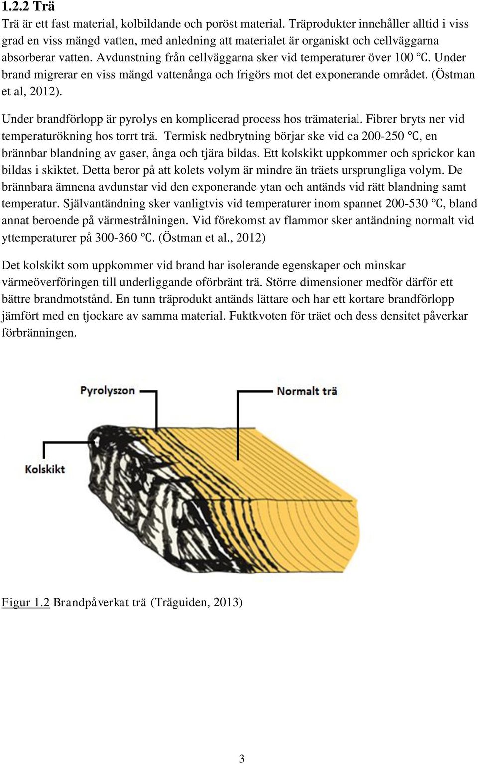 Avdunstning från cellväggarna sker vid temperaturer över 100. Under brand migrerar en viss mängd vattenånga och frigörs mot det exponerande området. (Östman et al, 2012).