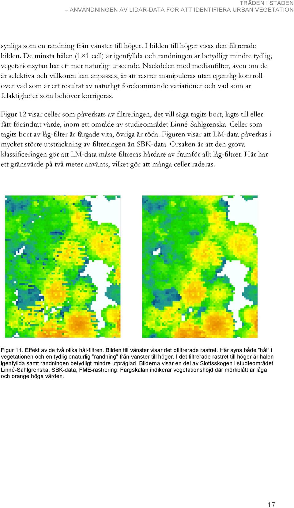 Nackdelen med medianfilter, även om de är selektiva och villkoren kan anpassas, är att rastret manipuleras utan egentlig kontroll över vad som är ett resultat av naturligt förekommande variationer