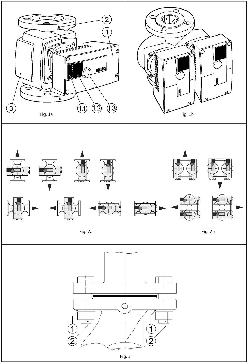 Fig. 2a