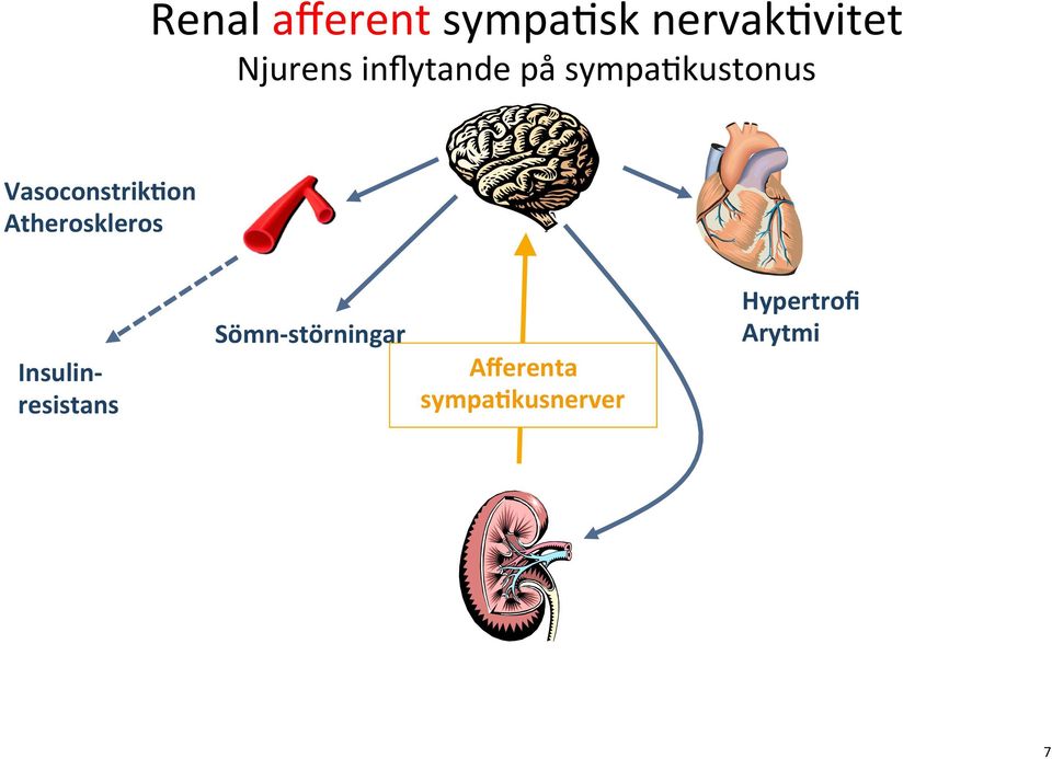 Atheroskleros Insulin- resistans Sömn-