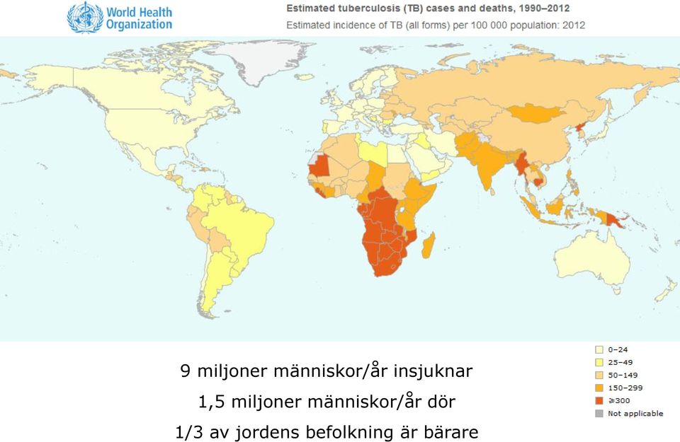 människor/år dör 1/3 av