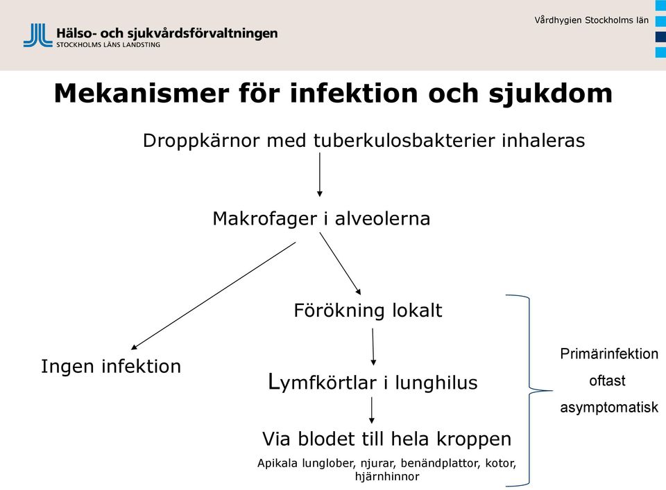 infektion Lymfkörtlar i lunghilus Via blodet till hela kroppen Apikala