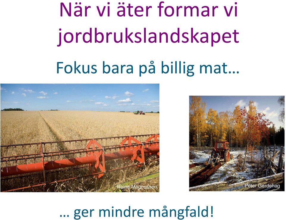 bara på billig mat Roine