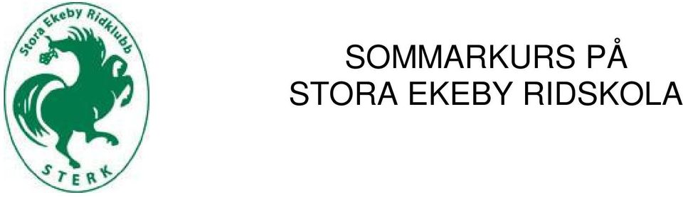 10/8 Kursstart kl 08.00 Avslut ca kl 11.30 1 ridpass i mindre grupp inkl fika o avslutande lätt lunch.