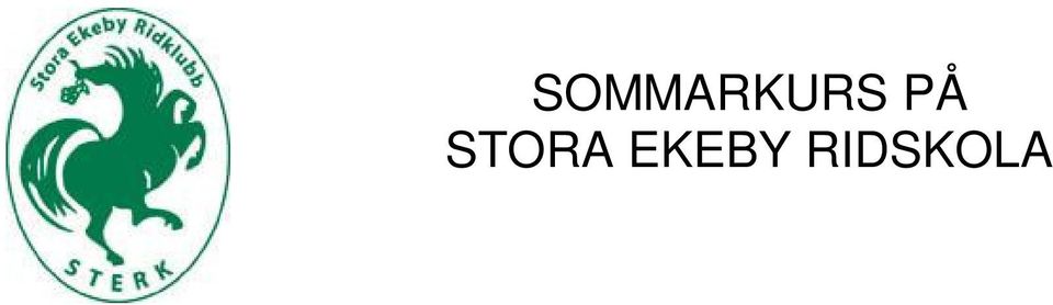 Vi har plats för 10 storhästryttare och 10 ponnyryttare. När du anmäler dig skriv om du önskar rida ponny eller häst. Frukost, lunch och fika serveras på cafét.