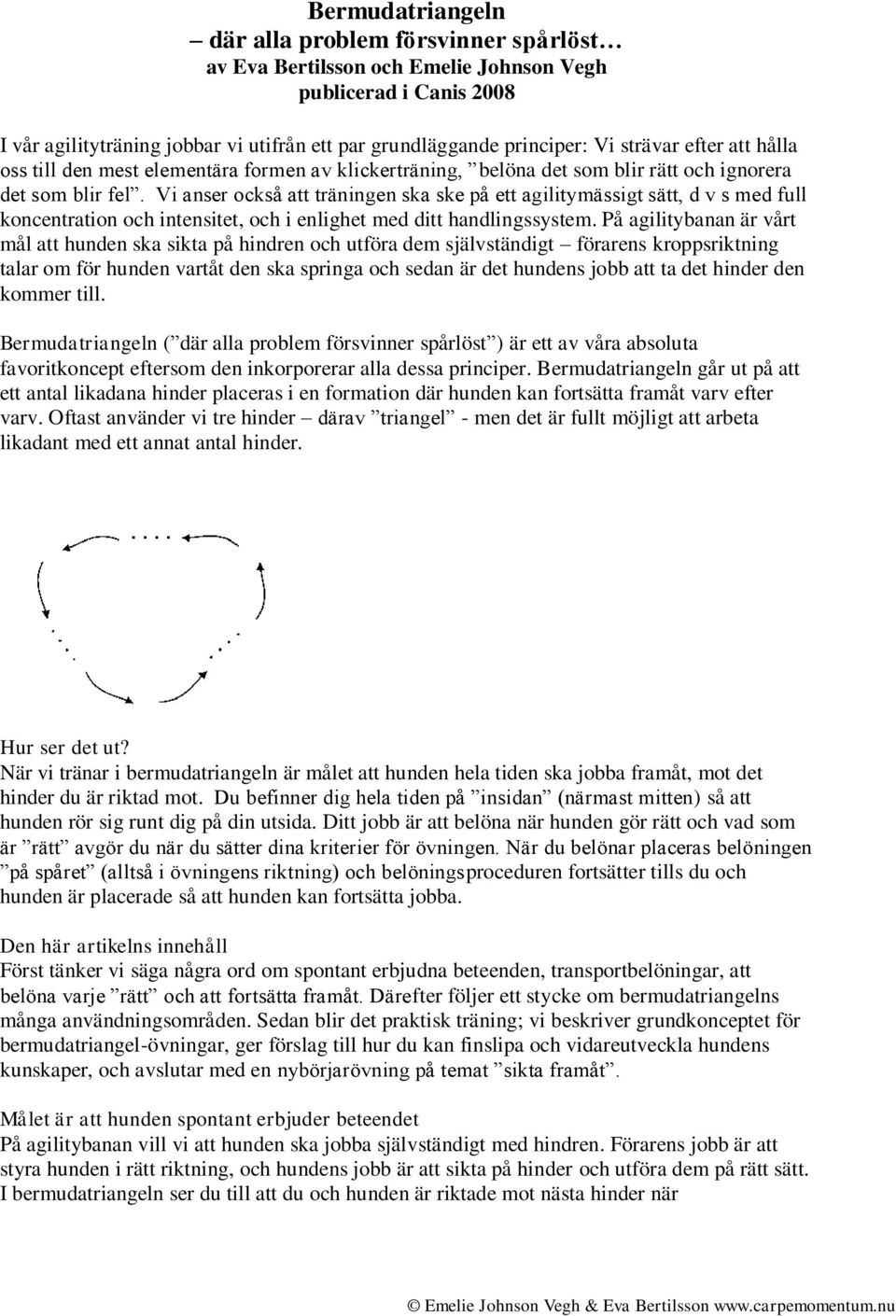 Vi anser också att träningen ska ske på ett agilitymässigt sätt, d v s med full koncentration och intensitet, och i enlighet med ditt handlingssystem.