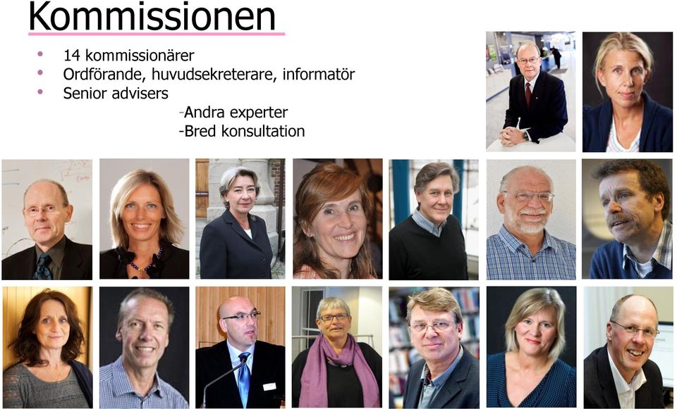 informatör Senior advisers