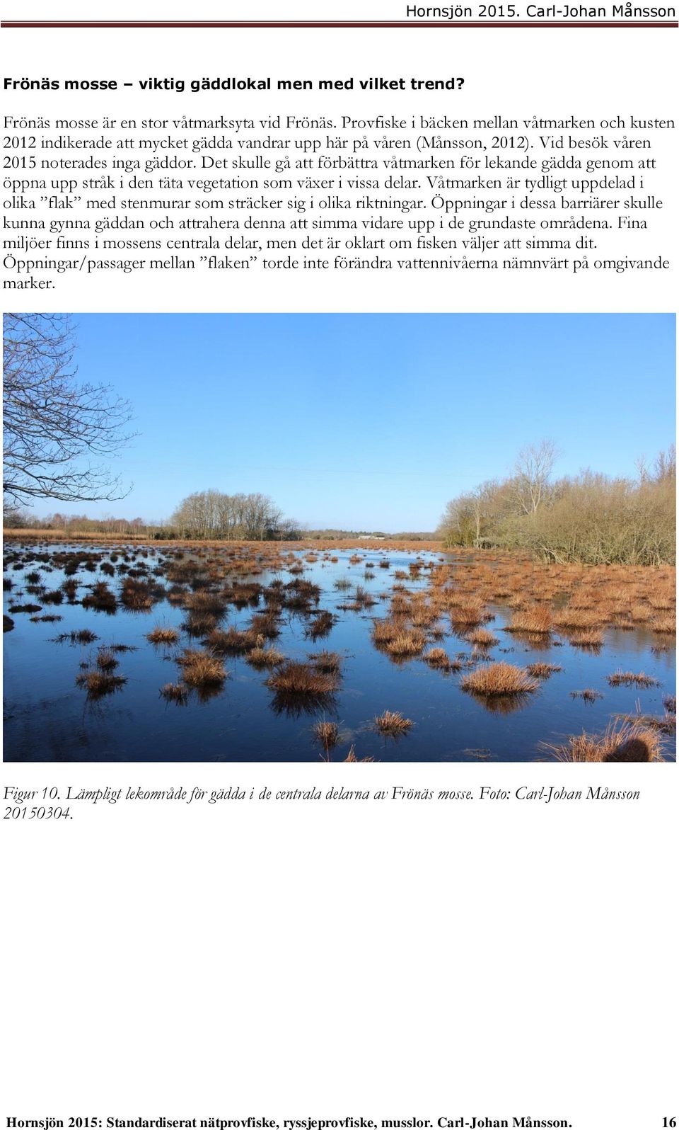 Det skulle gå att förbättra våtmarken för lekande gädda genom att öppna upp stråk i den täta vegetation som växer i vissa delar.