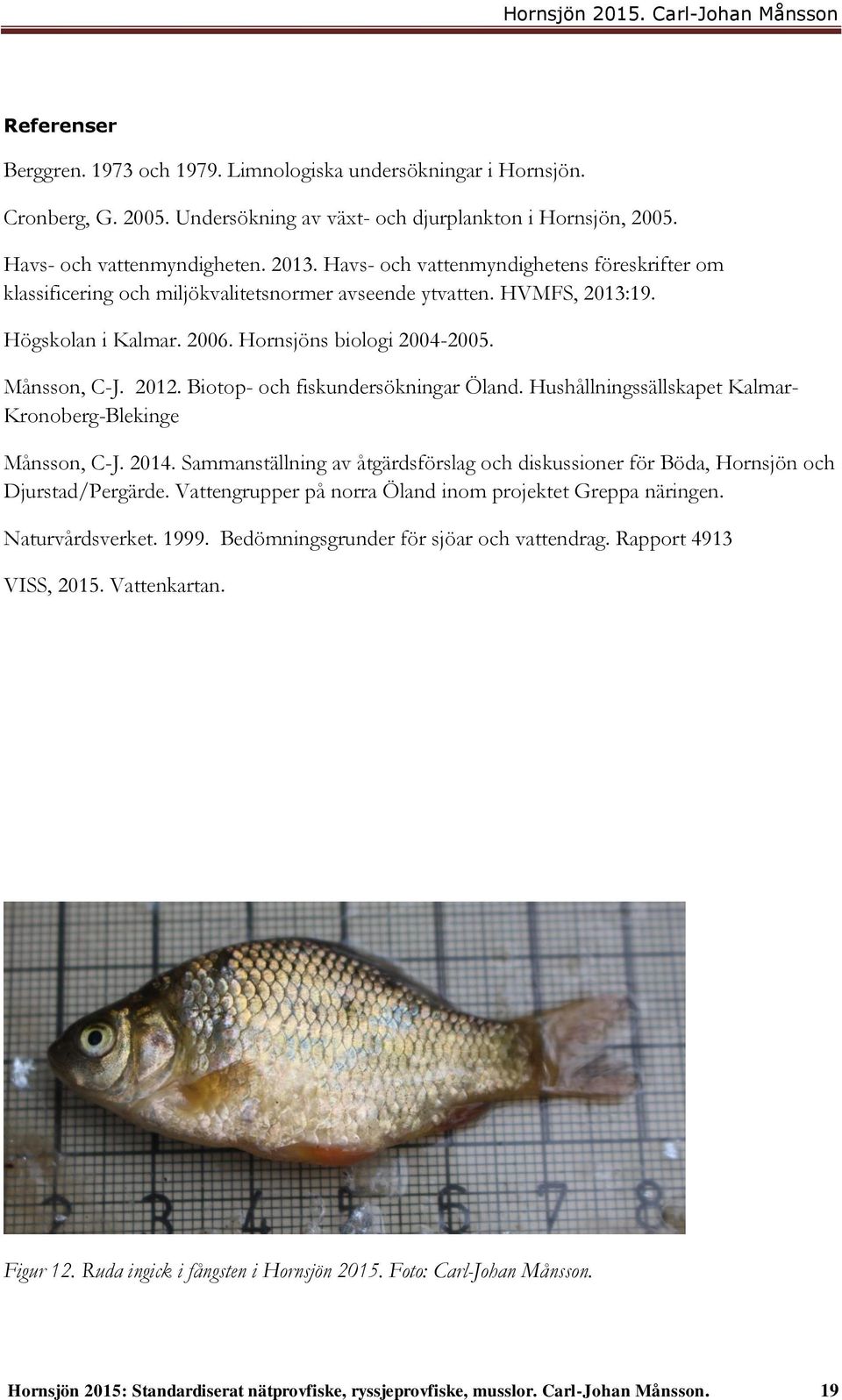 Biotop- och fiskundersökningar Öland. Hushållningssällskapet Kalmar- Kronoberg-Blekinge Månsson, C-J. 2014. Sammanställning av åtgärdsförslag och diskussioner för Böda, Hornsjön och Djurstad/Pergärde.