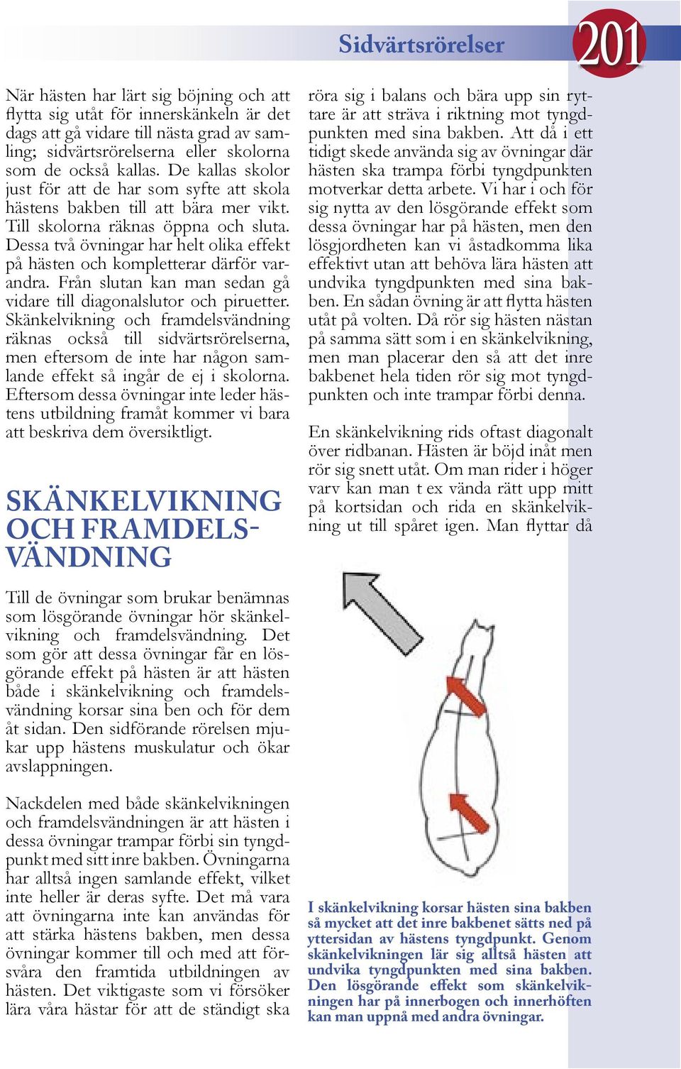 Dessa två övningar har helt olika effekt på hästen och kompletterar därför varandra. Från slutan kan man sedan gå vidare till diagonalslutor och piruetter.