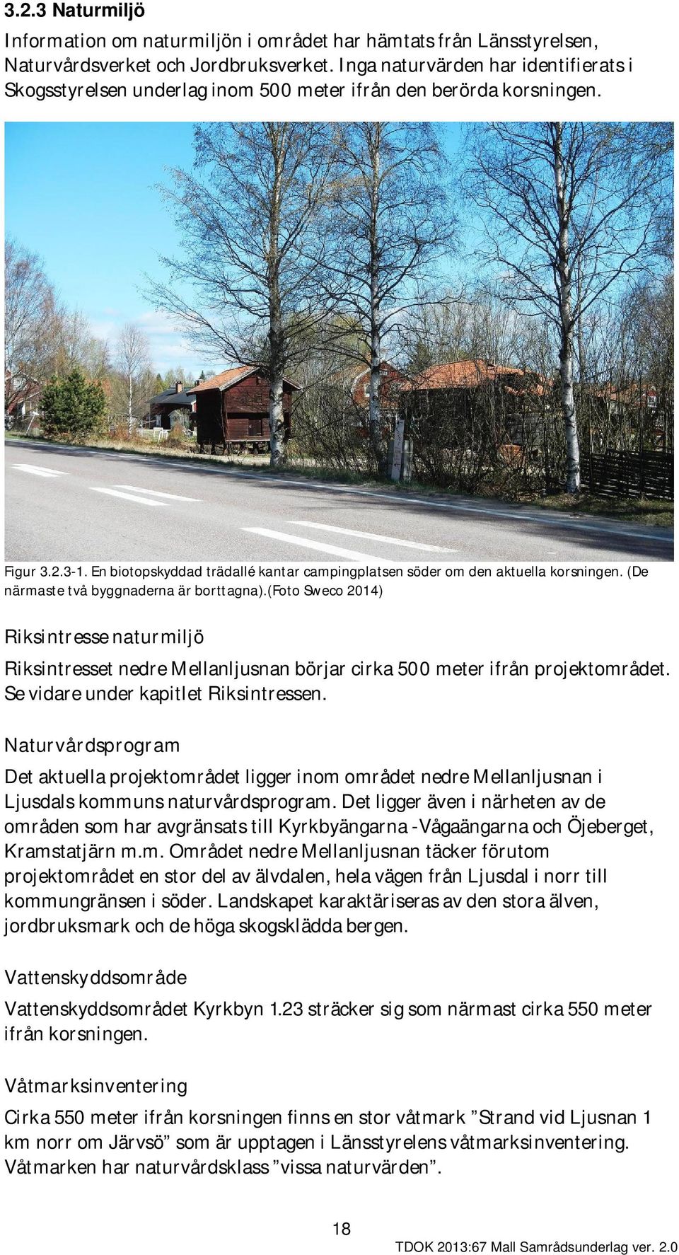 En biotopskyddad trädallé kantar campingplatsen söder om den aktuella korsningen. (De närmaste två byggnaderna är borttagna).