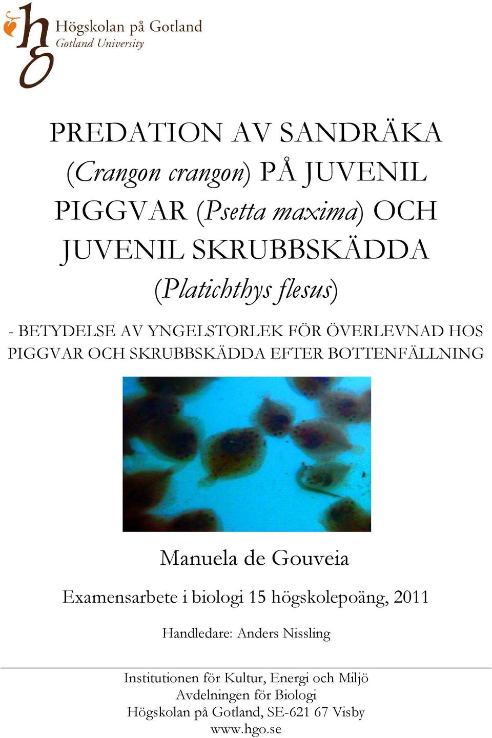 BOTTENFÄLLNING Manuela de Gouveia Examensarbete i biologi 15 högskolepoäng, 2011 Handledare: Anders