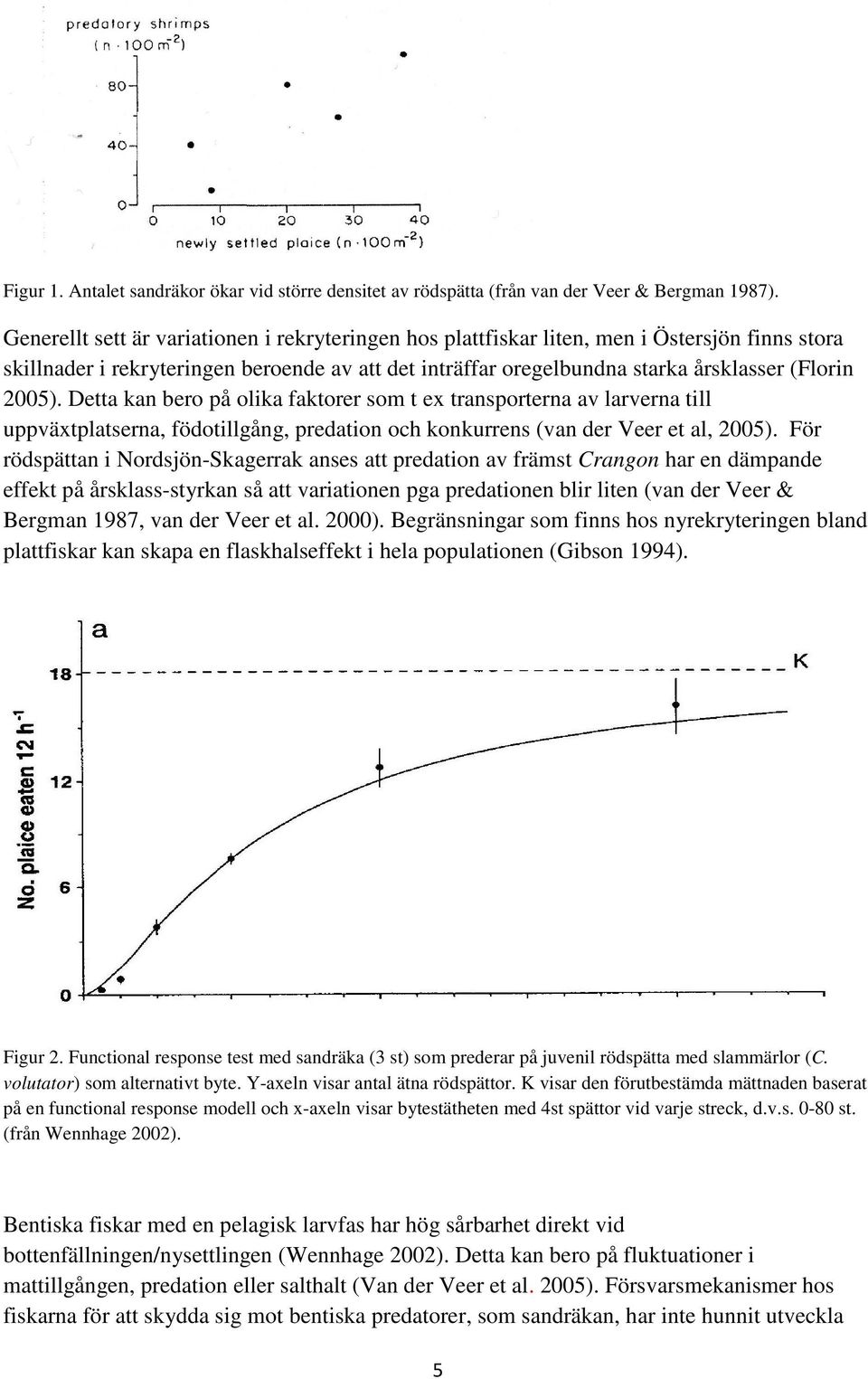 Detta kan bero på olika faktorer som t ex transporterna av larverna till uppväxtplatserna, födotillgång, predation och konkurrens (van der Veer et al, 2005).