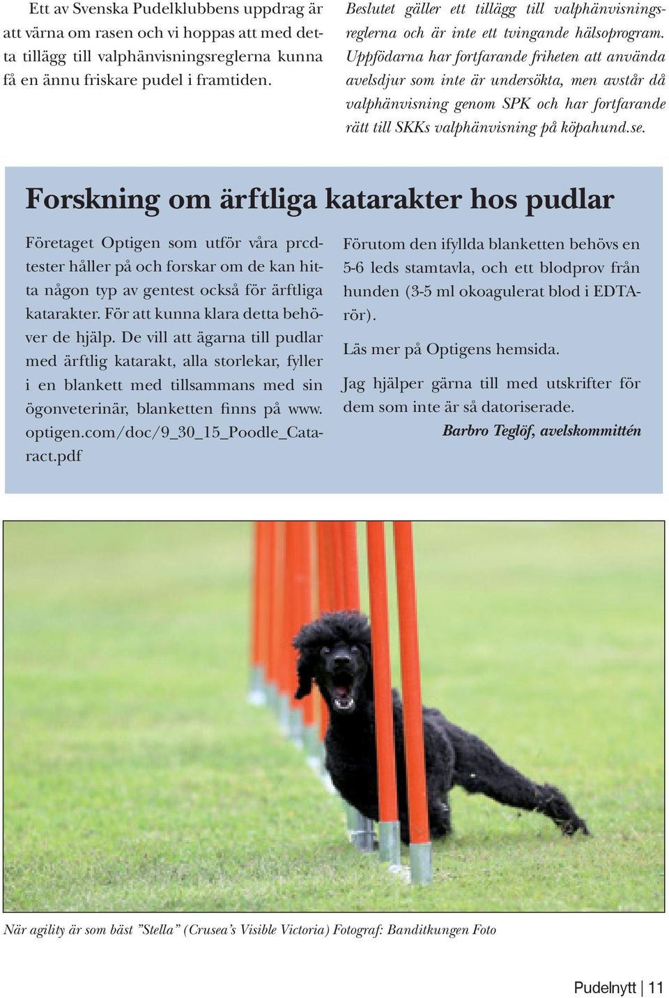 Uppfödarna har fortfarande friheten att använda avelsdjur som inte är undersökta, men avstår då valphänvisning genom SPK och har fortfarande rätt till SKKs valphänvisning på köpahund.se.