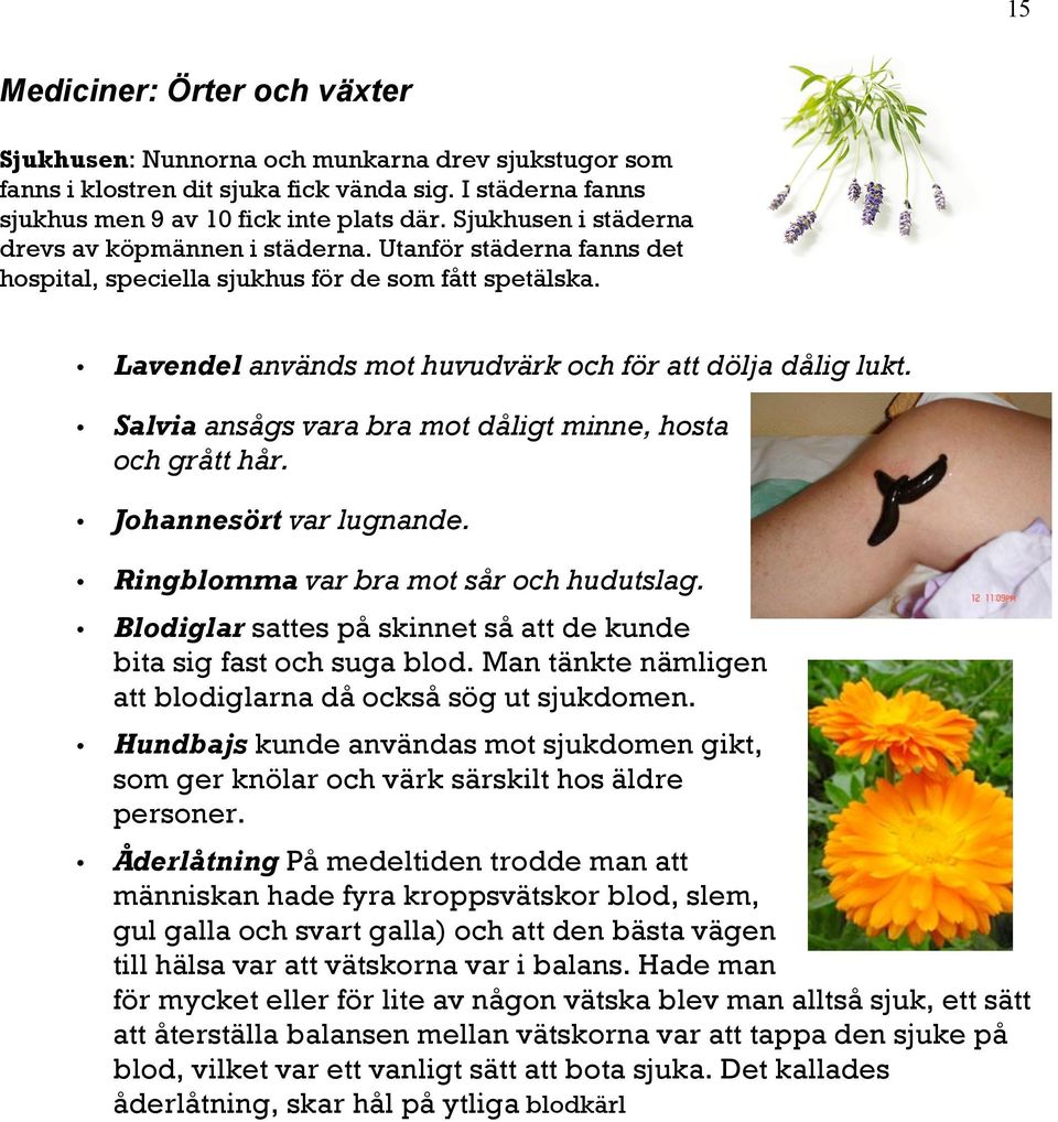 Salvia ansågs vara bra mot dåligt minne, hosta och grått hår. Johannesört var lugnande. Ringblomma var bra mot sår och hudutslag.