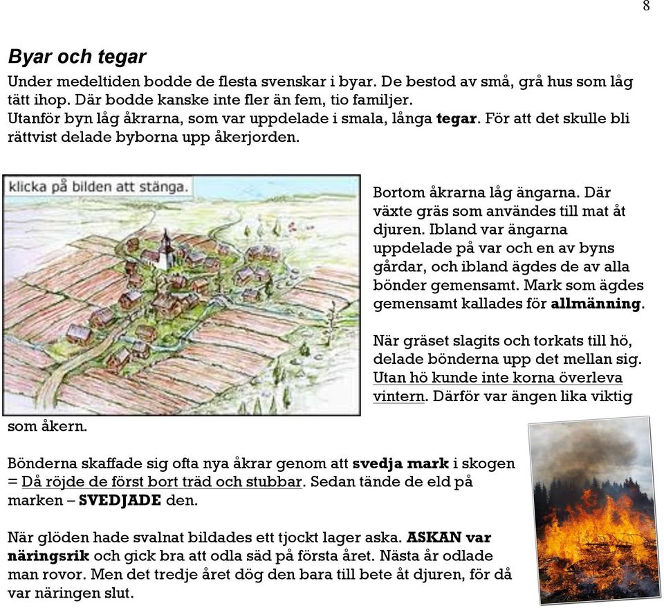 Där växte gräs som användes till mat åt djuren. Ibland var ängarna uppdelade på var och en av byns gårdar, och ibland ägdes de av alla bönder gemensamt.