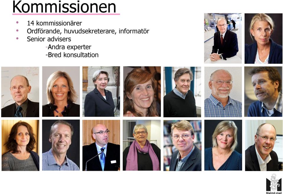 informatör Senior advisers