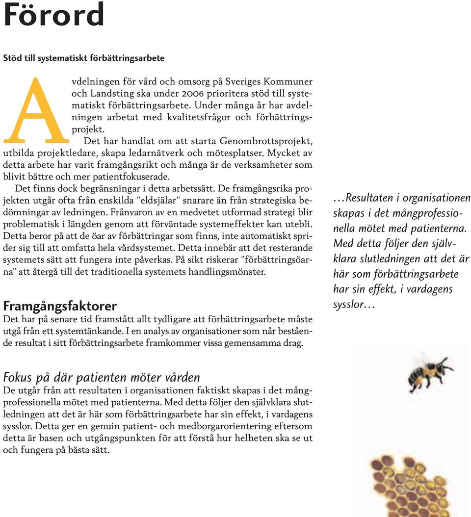 Mycket av detta arbete har varit framgångsrikt och många är de verksamheter som blivit bättre och mer patientfokuserade. Det finns dock begränsningar i detta arbetssätt.
