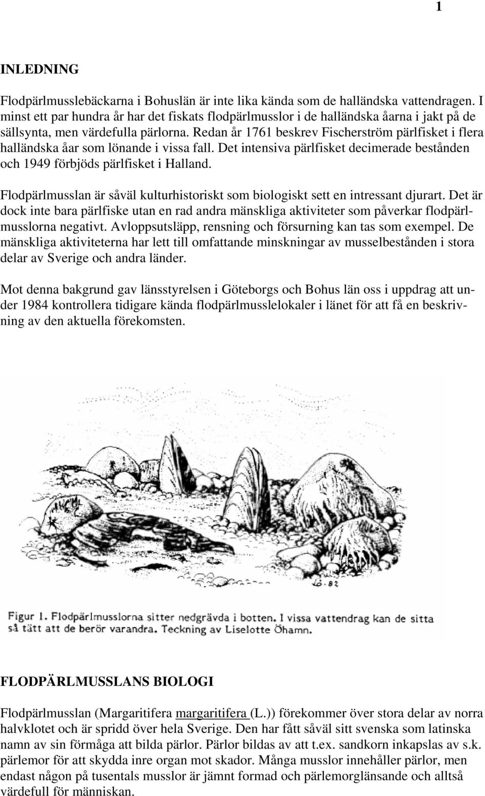 Redan år 1761 beskrev Fischerström pärlfisket i flera halländska åar som lönande i vissa fall. Det intensiva pärlfisket decimerade bestånden och 1949 förbjöds pärlfisket i Halland.