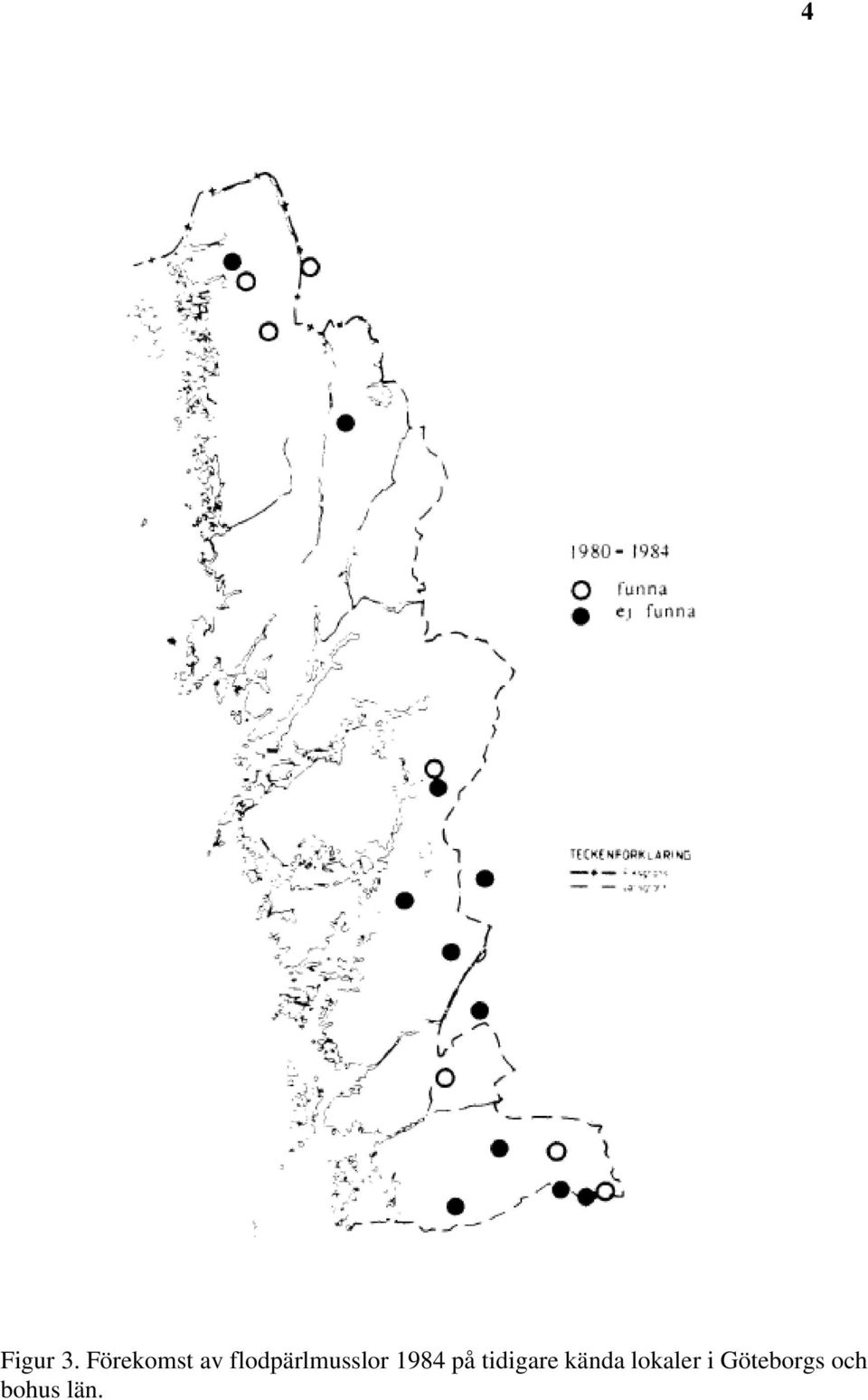 flodpärlmusslor 1984 på