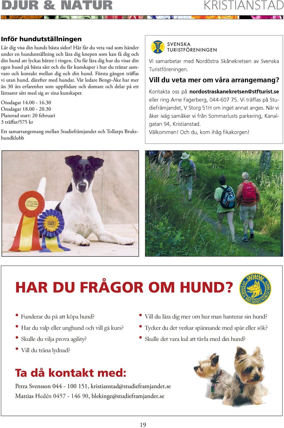 Du får lära dig hur du visar din egen hund på bästa sätt och du får kunskaper i hur du tränar samvaro och kontakt mellan dig och din hund. Första gången träffas vi utan hund, därefter med hundar.