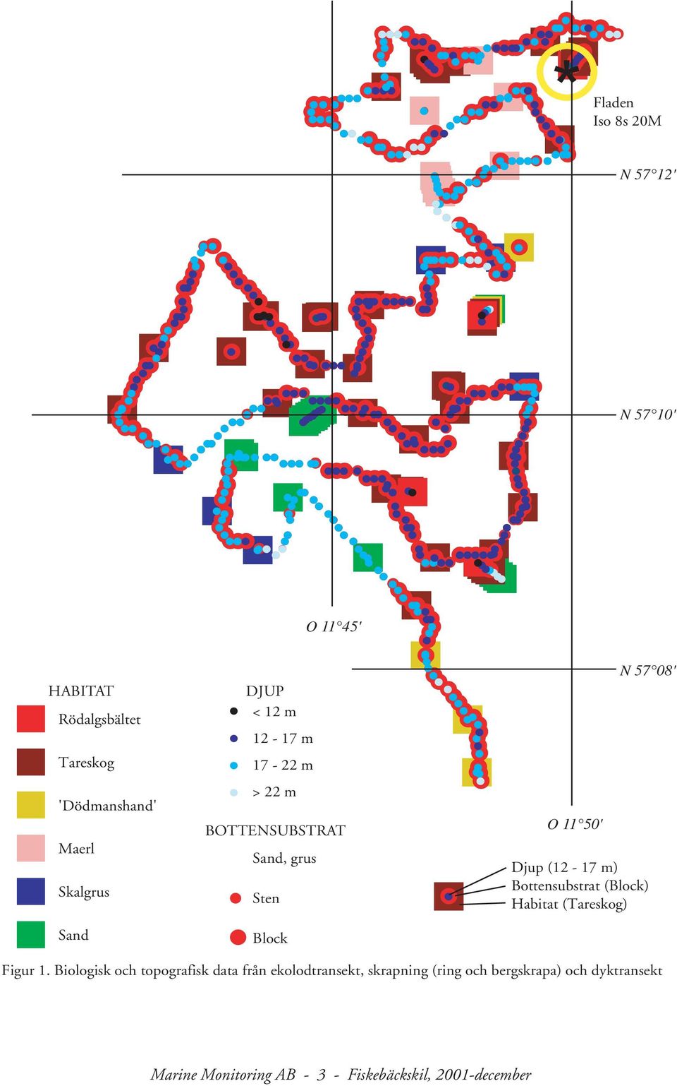 1. Biologisk och topografisk data från ekolodtransekt, skrapning (ring och bergskrapa) och dyktransekt *