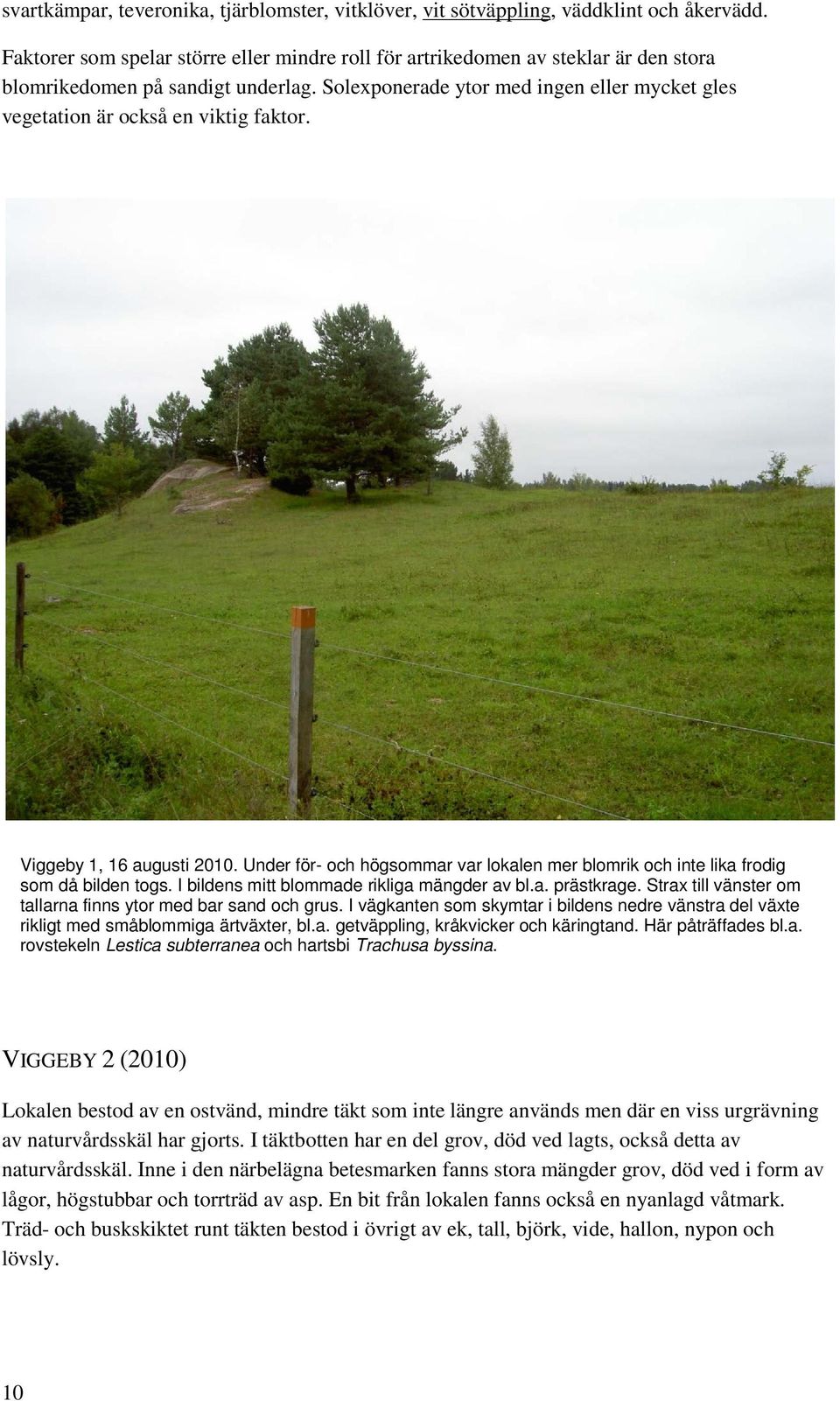 Solexponerade ytor med ingen eller mycket gles vegetation är också en viktig faktor. Viggeby 1, 16 augusti 2010.