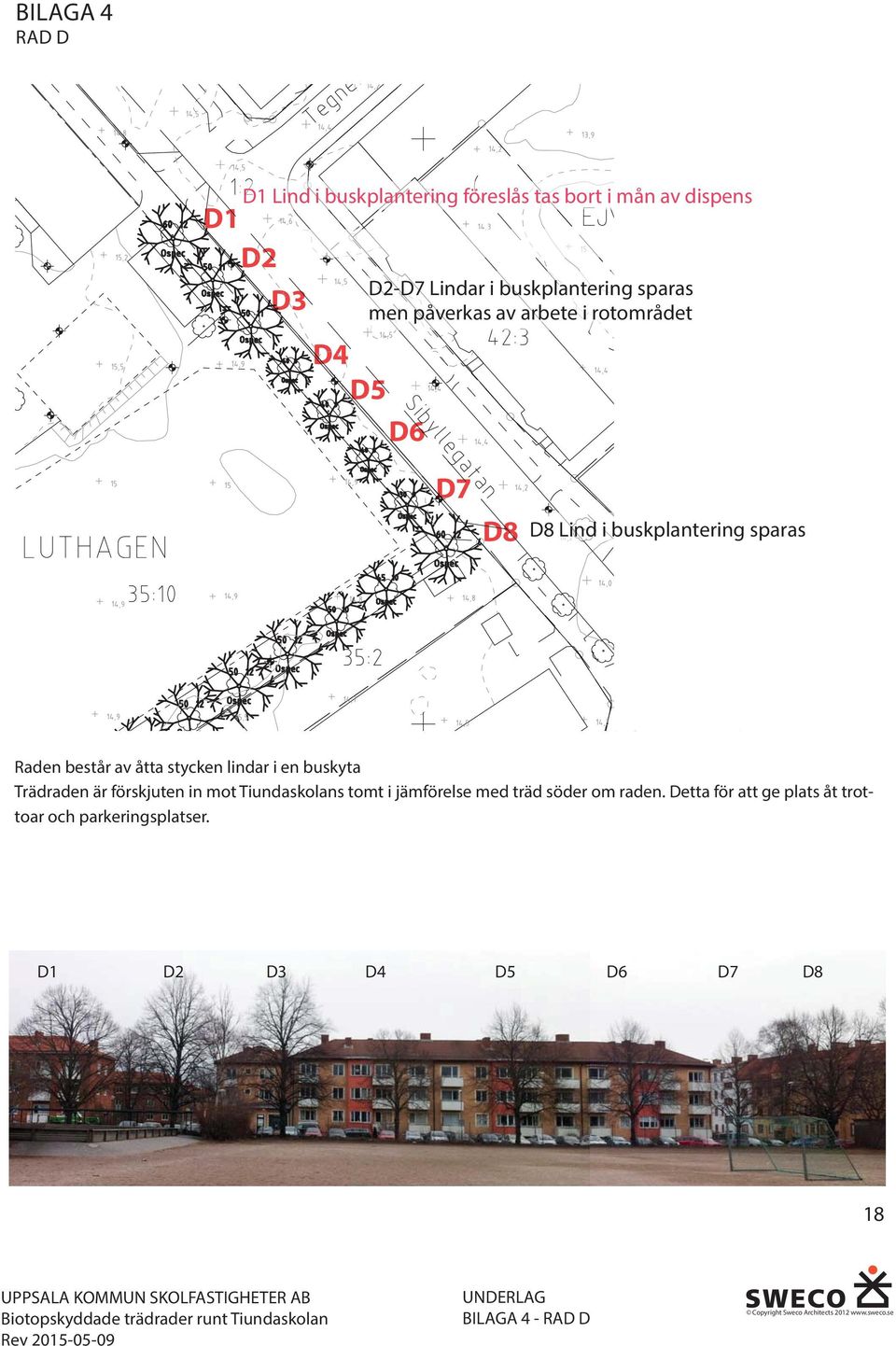 består av åtta stycken lindar i en buskyta Trädraden är förskjuten in mot Tiundaskolans tomt i jämförelse med