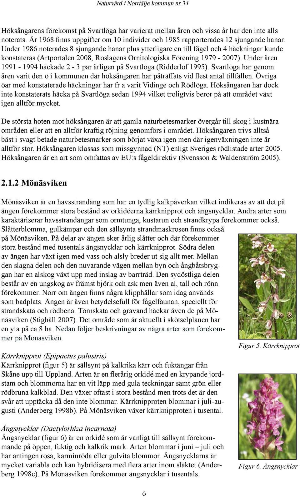 Under åren 1991-1994 häckade 2-3 par årligen på Svartlöga (Ridderlöf 1995). Svartlöga har genom åren varit den ö i kommunen där höksångaren har påträffats vid flest antal tillfällen.