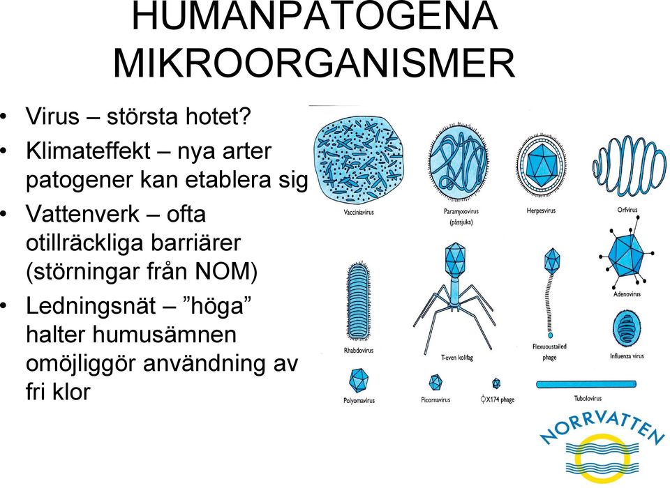 Vattenverk ofta otillräckliga barriärer (störningar från