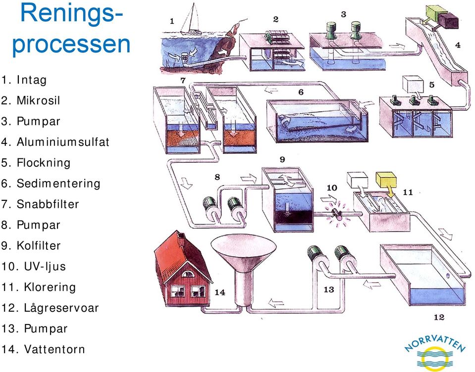 Snabbfilter 8. Pumpar 9. Kolfilter 10. UV-ljus 11.