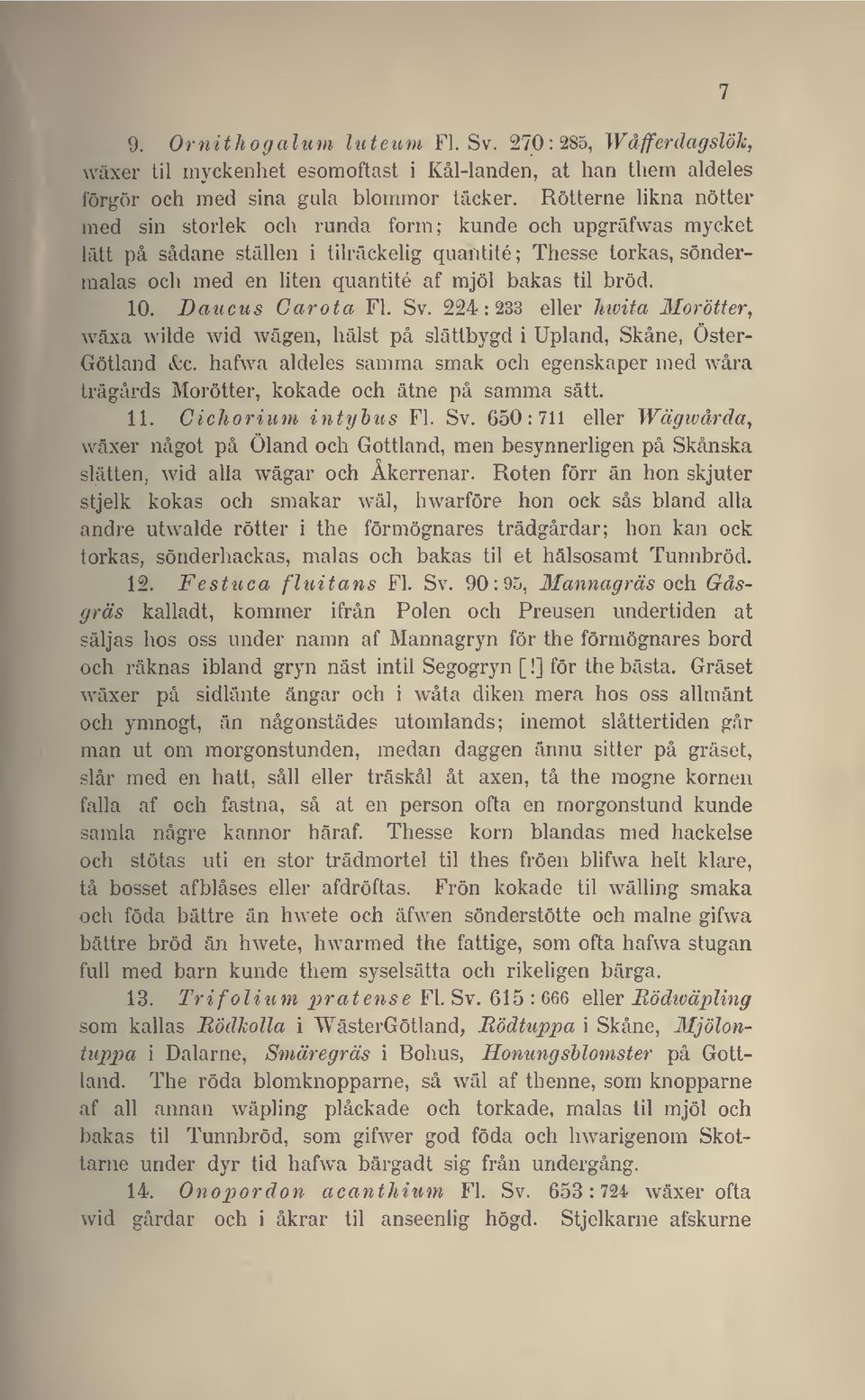 til bröd. 10. Baucus Carota Fl. Sv. 224:233 eller hwita Morötter, wäxa wilde wid wägen, hälst på slättbygd i Upland, Skåne, Öster- Götland &c.