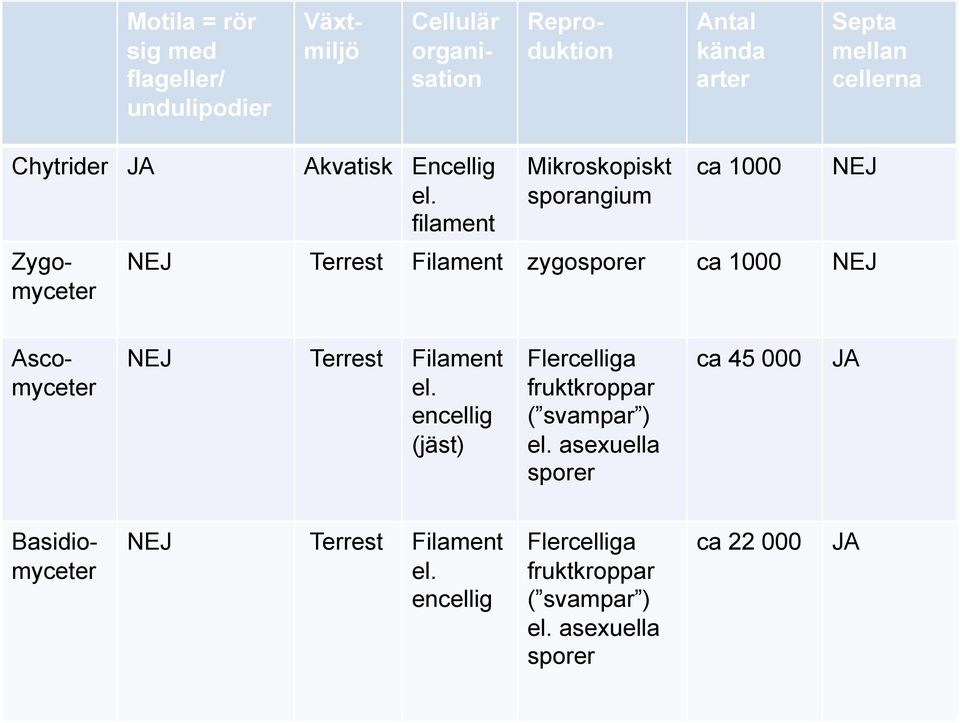 filament Mikroskopiskt sporangium ca 1000 NEJ NEJ Terrest Filament zygosporer ca 1000 NEJ Ascomyceter NEJ Terrest Filament el.