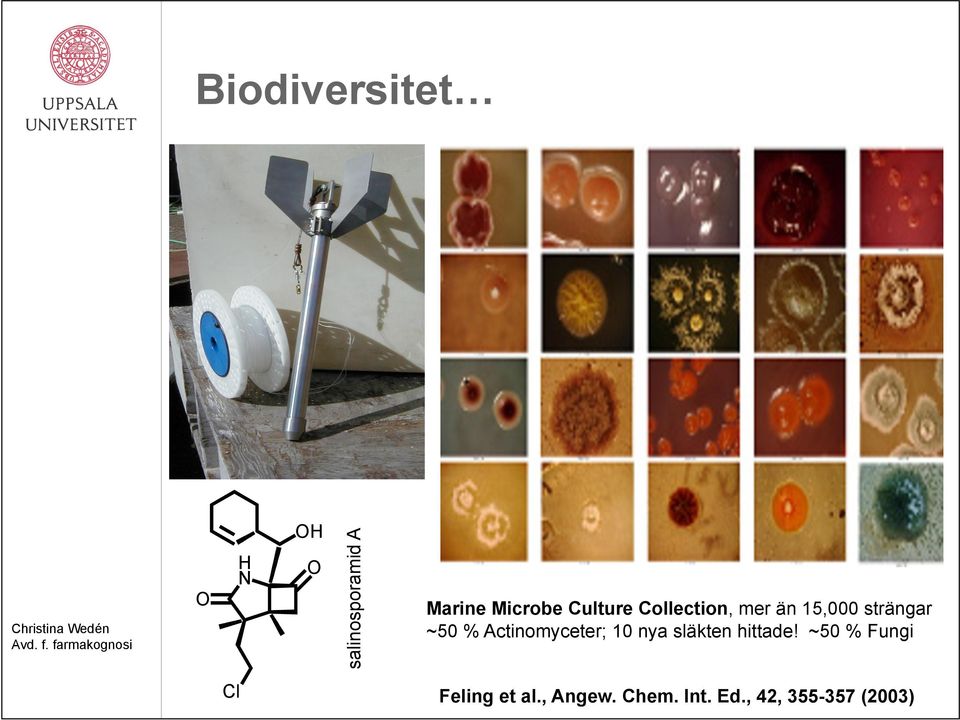 ~50 % Actinomyceter; 10 nya släkten hittade!