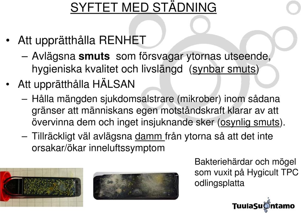 människans egen motståndskraft klarar av att övervinna dem och inget insjuknande sker (osynlig smuts).