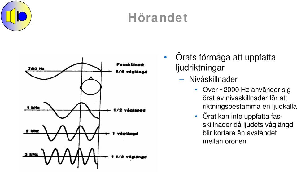 nivåskillnader för att riktningsbestämma en ljudkälla Örat kan