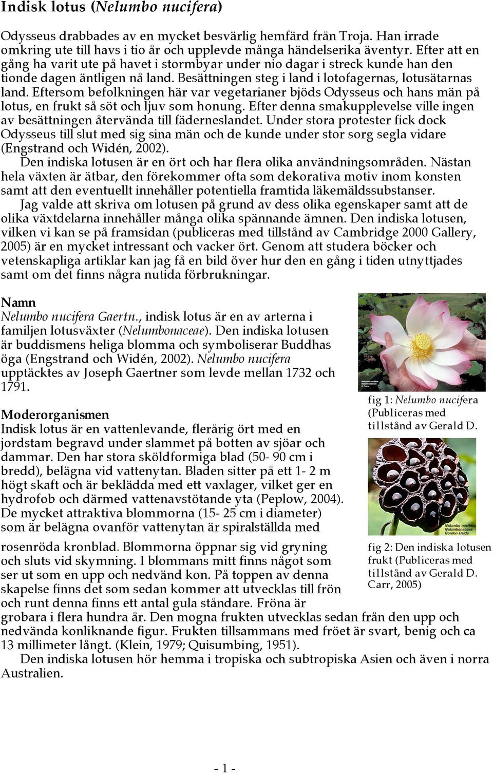Eftersom befolkningen här var vegetarianer bjöds Odysseus och hans män på lotus, en frukt så söt och ljuv som honung.