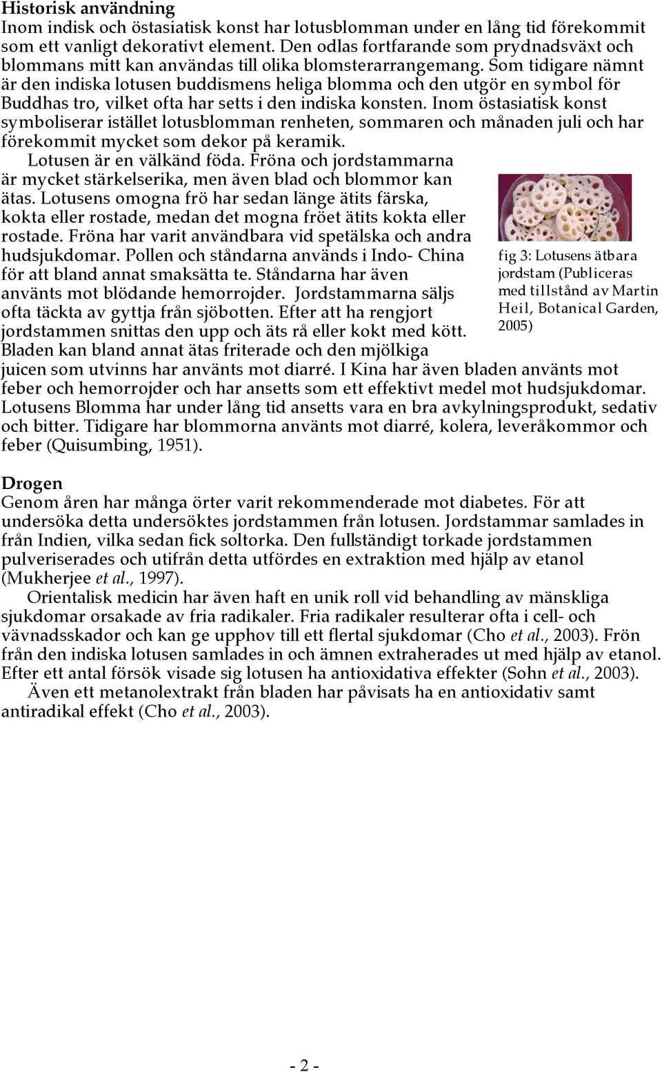 Som tidigare nämnt är den indiska lotusen buddismens heliga blomma och den utgör en symbol för Buddhas tro, vilket ofta har setts i den indiska konsten.