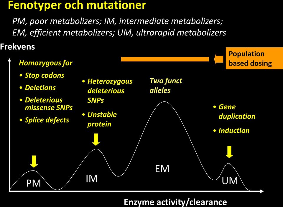 Deleterious missense SNPs Splice defects Heterozygous deleterious SNPs Unstable protein Two