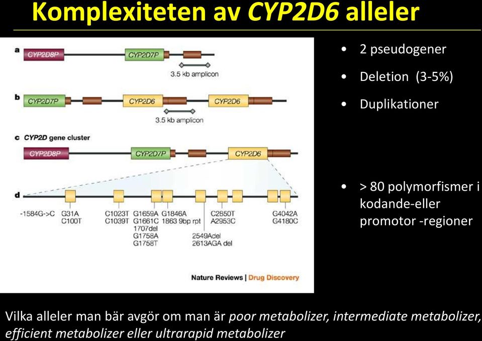 -regioner Vilka alleler man bär avgör om man är poor metabolizer,