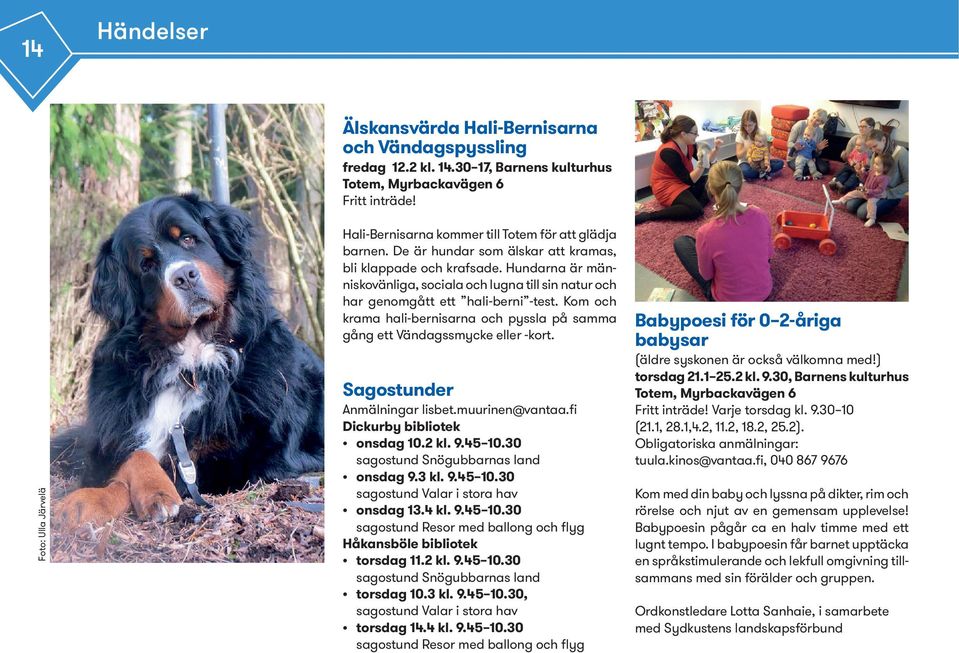 Hundarna är människovänliga, sociala och lugna till sin natur och har genomgått ett hali-berni -test. Kom och krama hali-bernisarna och pyssla på samma gång ett Vändagssmycke eller -kort.