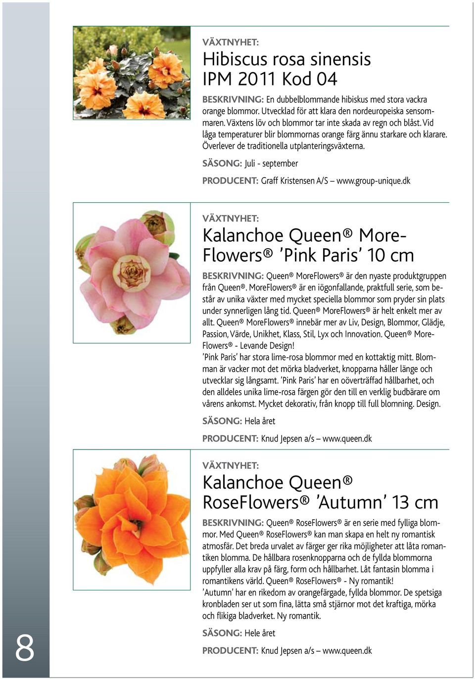 Säsong: Juli - september Producent: Graff Kristensen A/S www.group-unique.dk Kalanchoe Queen More- Flowers Pink Paris 10 cm Beskrivning: Queen MoreFlowers är den nyaste produktgruppen från Queen.