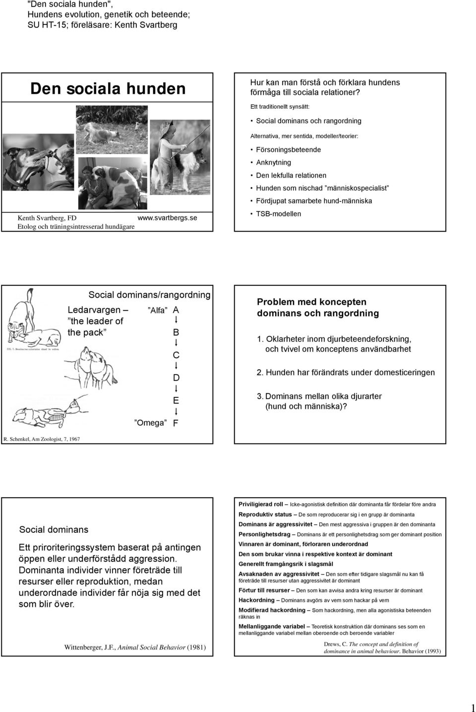 se Etolog och träningsintresserad hundägare Anknytning Den lekfulla relationen Hunden som nischad människospecialist Fördjupat samarbete hund-människa TSB-modellen Social dominans/rangordning