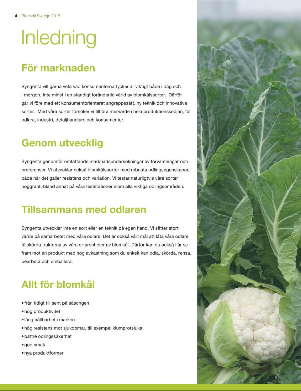 Med våra sorter försöker vi tillföra mervärde i hela produktionskedjan, för odlare, industri, detaljhandlare och konsumenter.