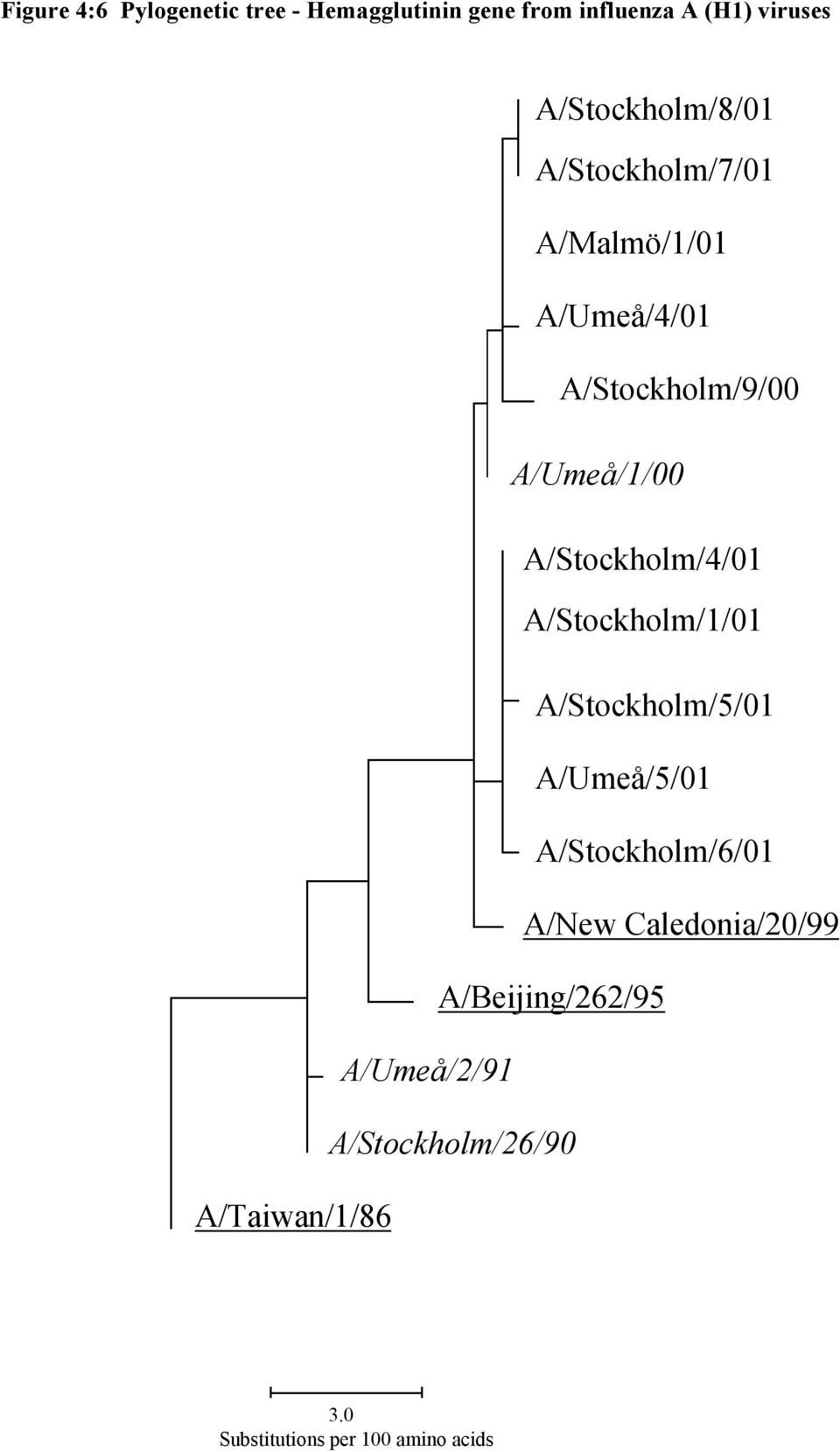 strains A/Stockholm/9/ A/Umeå/1/ A/Stockholm/4/1 A/Stockholm/1/1 A/Stockholm/5/1 A/Umeå/5/1