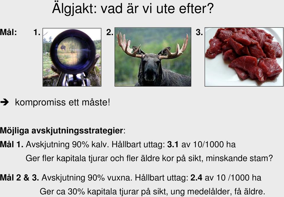 1 av 10/1000 ha Ger fler kapitala tjurar och fler äldre kor på sikt, minskande stam?