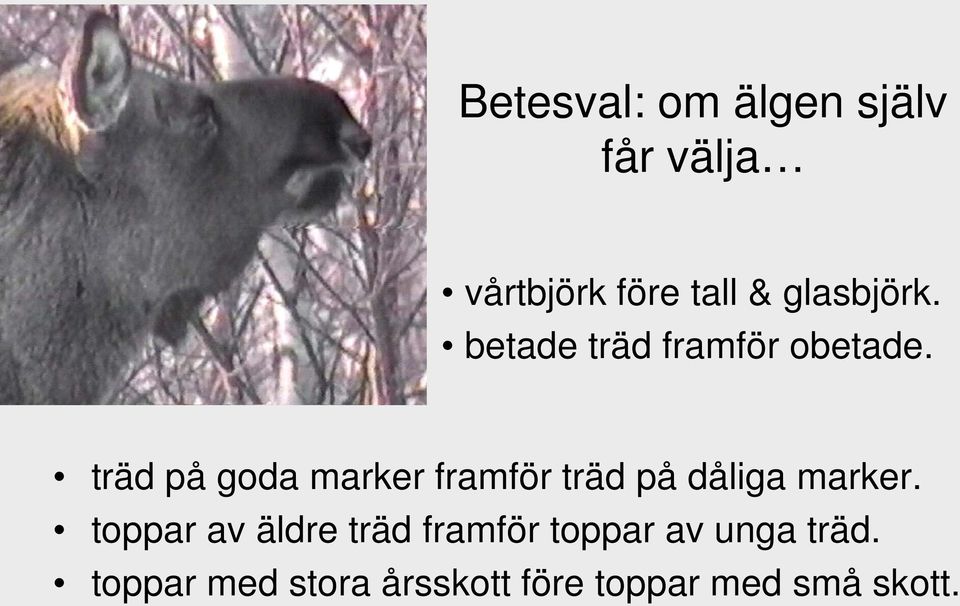 träd på goda marker framför träd på dåliga marker.