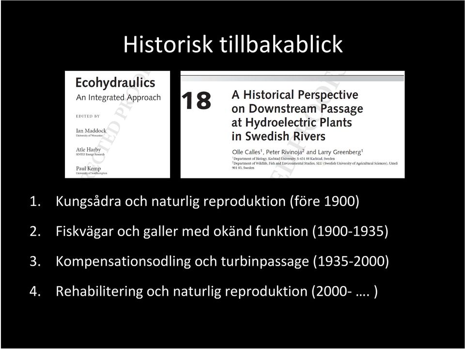 Fiskvägar och galler med okänd funktion (1900-1935) 3.