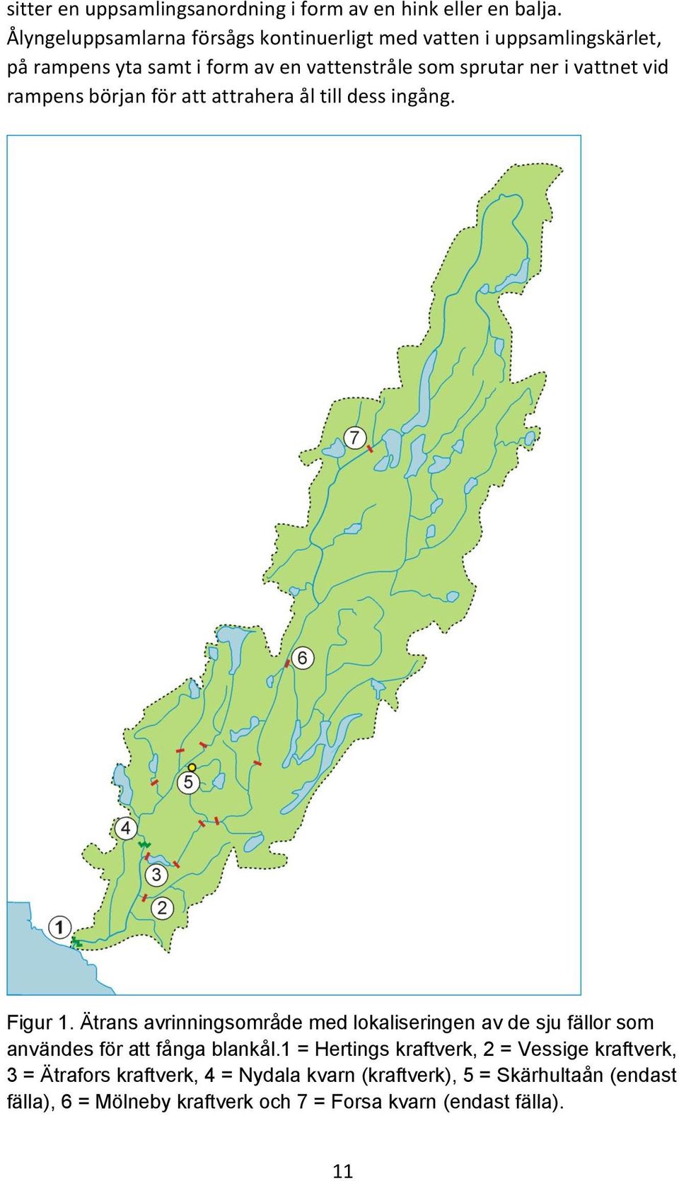 vattnet vid rampens början för att attrahera ål till dess ingång. Figur 1.